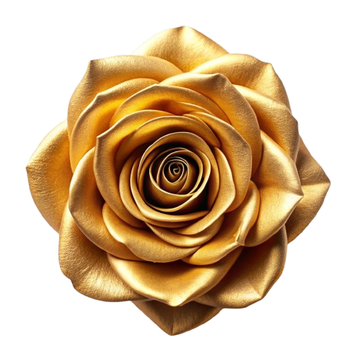 18a3e7e1-b1d7-4bac-9cee-5780695459ce-removebg-preview